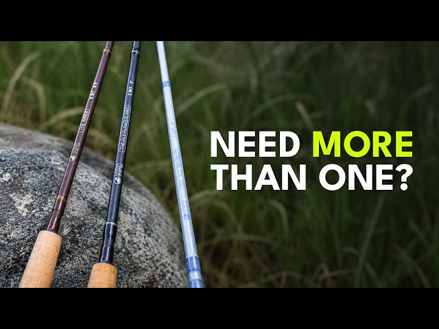 How Many Fly Rods Do You Actually Need? When to Upgrade, and When a New Rod Won't Help