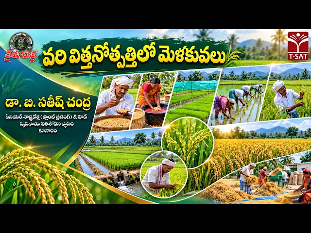 🌾 రైతుమిత్ర వ్యవసాయం | వరి విత్తనోత్పత్తిలో మెలకువలు | డా. బి. సతీష్ చంద్ర | T-SAT