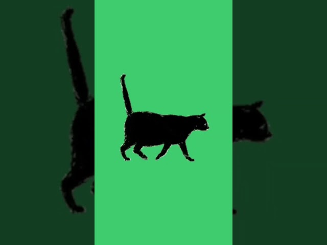 Meow meow #meow