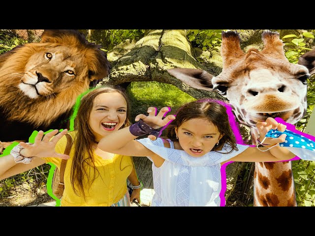 Family Day at the Zoo, Explorando el Zoologico
