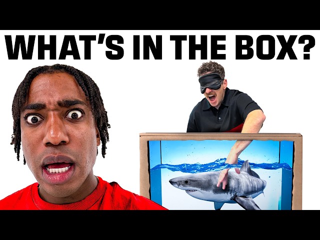 What's In The Box Challenge