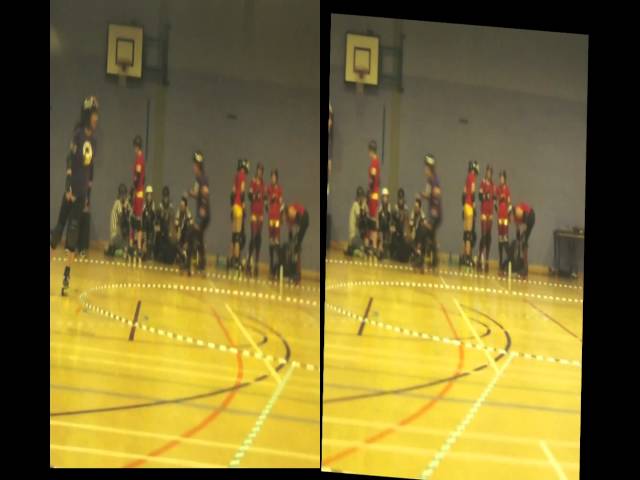 GRG Roller Derby 3d Test