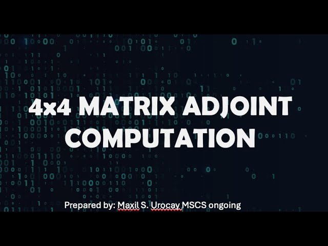 4x4 Matrix - Adjoint Computation (Bisaya Tutorial) || xam yu
