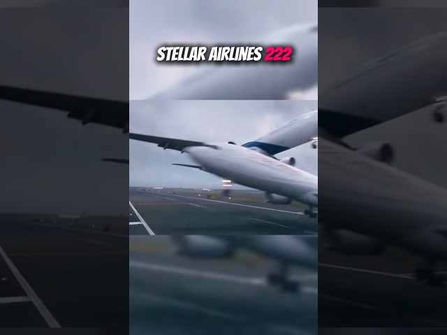 Stellar Airlines 222 #short #aviation #airplane #airbus #a330 #flight #edit #fyp