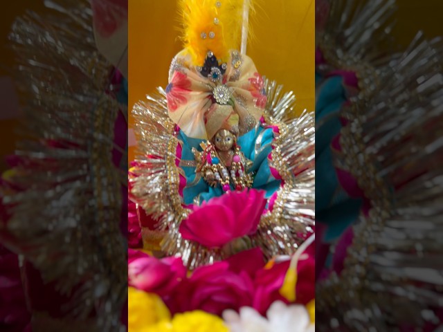 Janmashtami Celebration ✨ #janmashtami #lordkrishna #ram #education