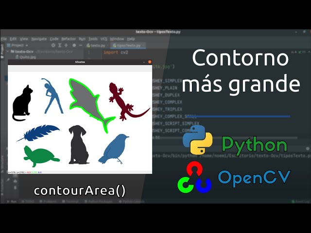 Finding the largest contour with contourArea() | Python - OpenCV