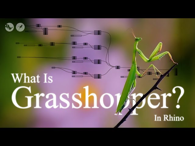 What Is Grasshopper in Rhino? | The Story That Changed Digital Design