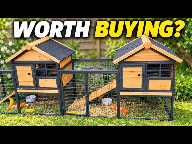 Don't Buy A Rabbit Hutch Until You See This