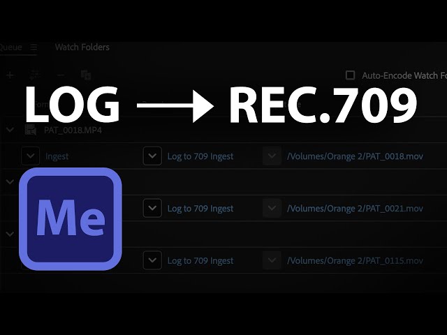 How to apply LUT to multiple clips in Media Encoder