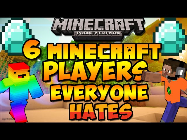 6 Types Of Minecraft Players Everyone Hates