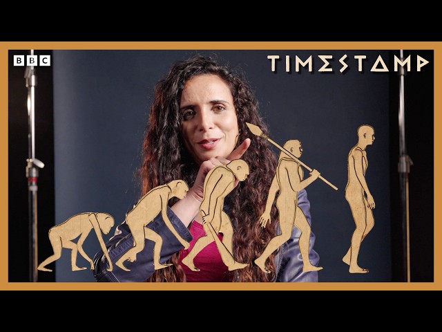 The Most Misunderstood Thing About Human Evolution | Human | BBC Timestamp