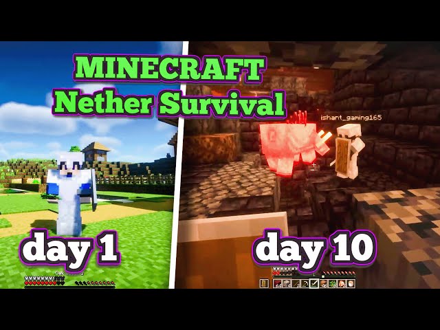 I Survive 10 Days On Nether In Minecraft