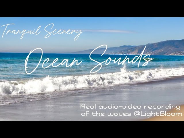 White Noise Relaxing Ocean Sounds for Studying, Focusing, Letting Go Thoughts Meditation Fall Asleep