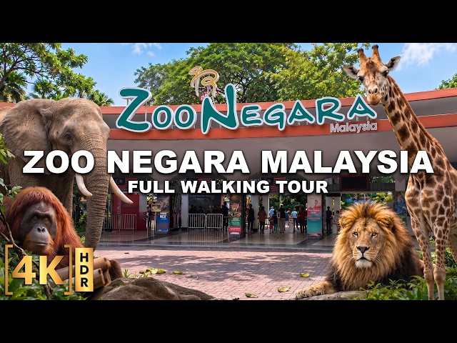 The National Zoo of Malaysia! One of the Best Zoos in Southeast Asia - ZOO NEGARA | Kuala Lumpur