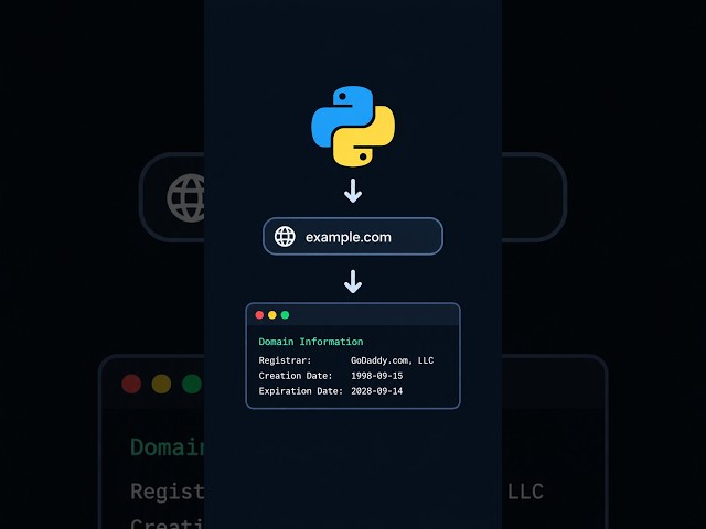 Look Up Domain Information with Python & WHOIS | Beginner Project
