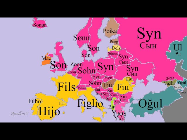 Family Members | European Languages Comparison