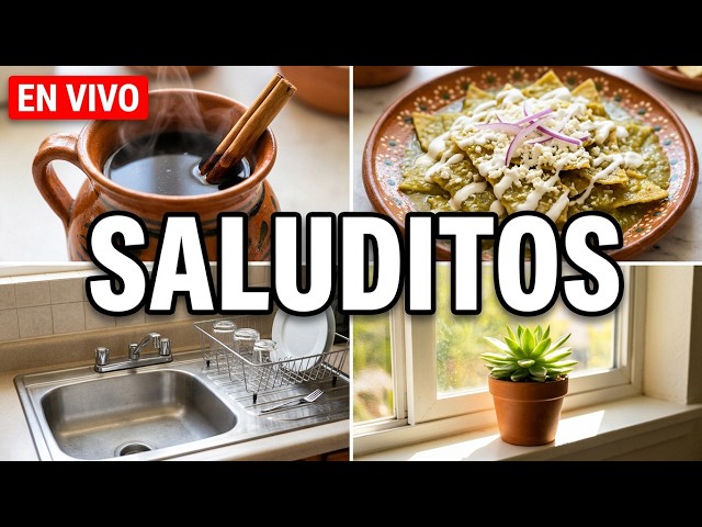 Fabi Zea está en vivo