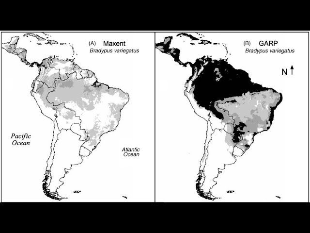 Maximum Entropy Modeling of Species Geographic Distributions