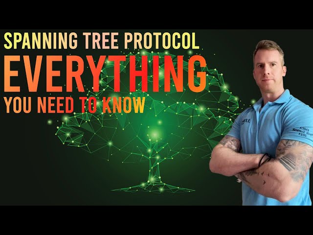 Learn Everything You Need To Know on Spanning Tree Protocol