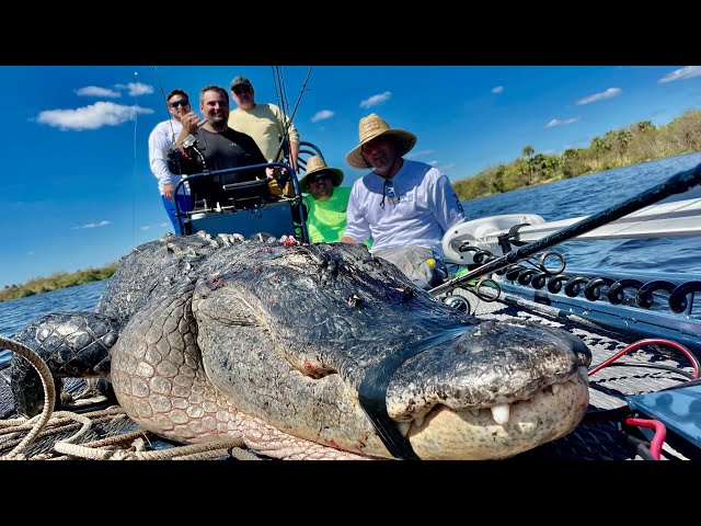 MEGA GIANT Florida Gator Caught on PUBLIC LAND! (Gator Attacks Boat!) *Man Eater GONE From Lake!*