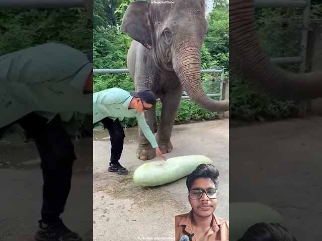 #original