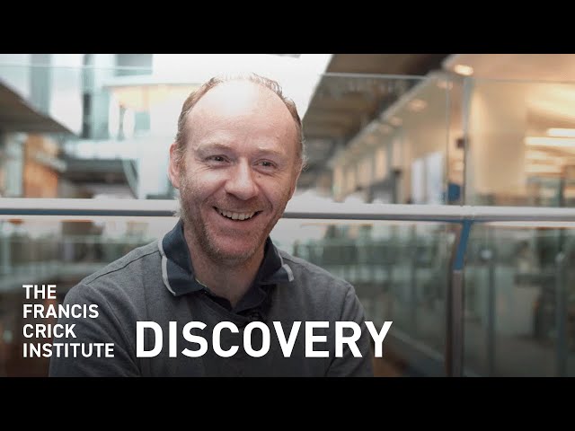 Discovered by Chance – How the Mouse Microbiome Impacts Hormone Levels