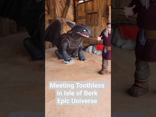 Meeting Toothless and Isle of Berk at Epic Universe #universalstudios #shorts