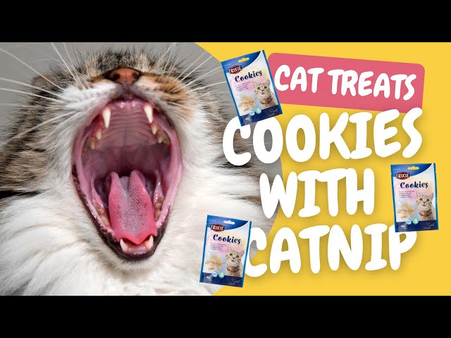 Endless Feline Fun! Our Cats Love These Catnip Treats! 😻 | Trixie Cookies with Catnip Review
