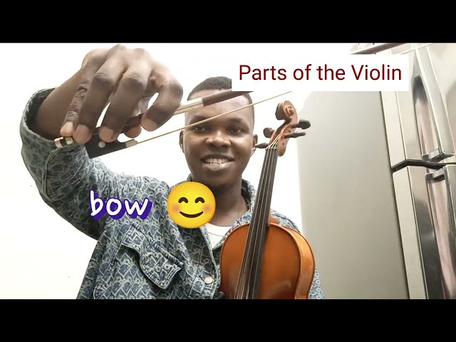 Your First Violin Class in 9 minutes 🎻 