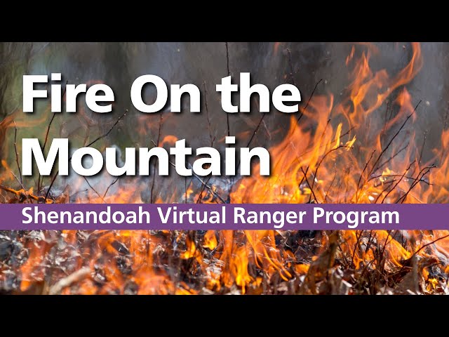 Fire at Big Meadows: Learn How We Use It To Our Advantage
