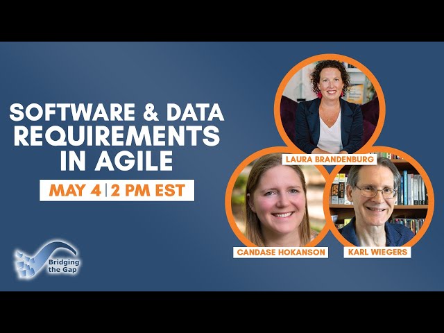 Software and Data Requirements in Agile