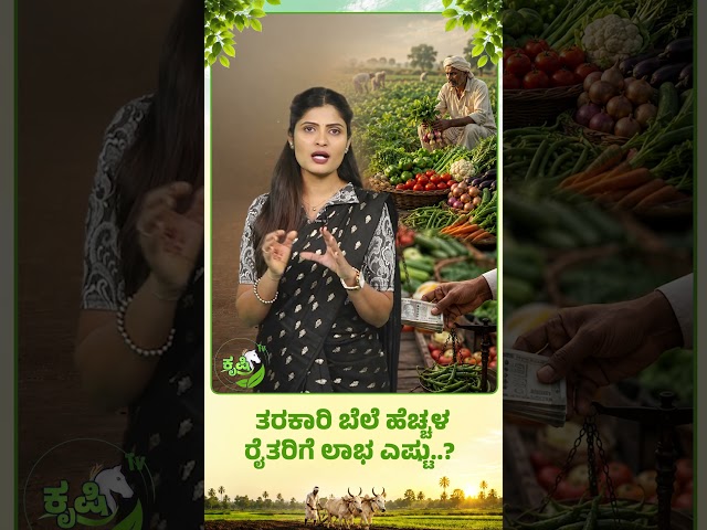 ತರಕಾರಿ ಬೆಲೆ ಹೆಚ್ಚಳ ರೈತರಿಗೆ ಲಾಭ ಎಷ್ಟು| Vegetable Price Hike