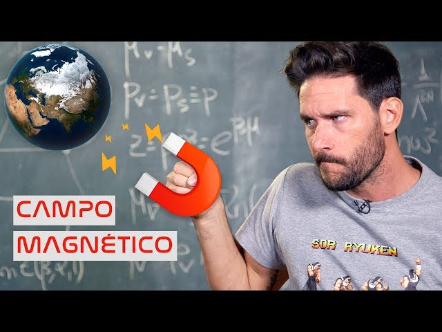 What would happen if the Earth's MAGNETIC FIELD were reversed?