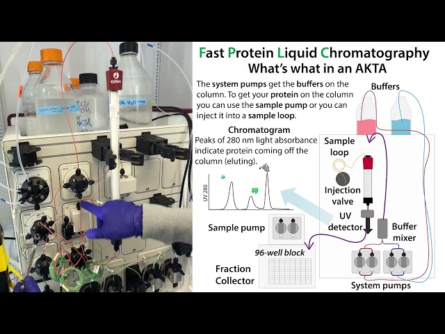 Why and how we purify proteins with FPLC (aka - what's an AKTA and why should I care?)