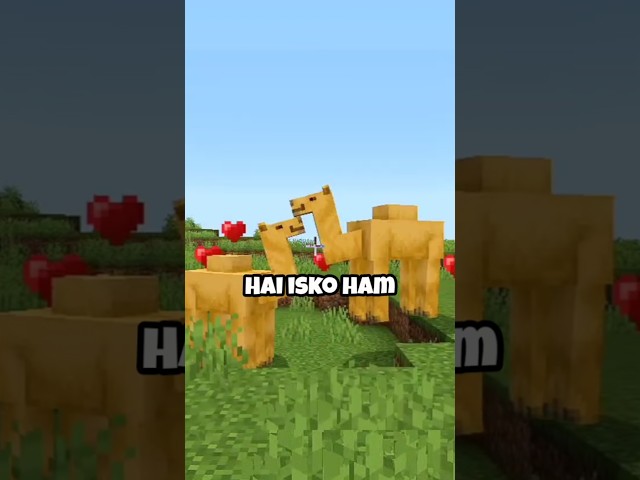 camels are secretly op 😱