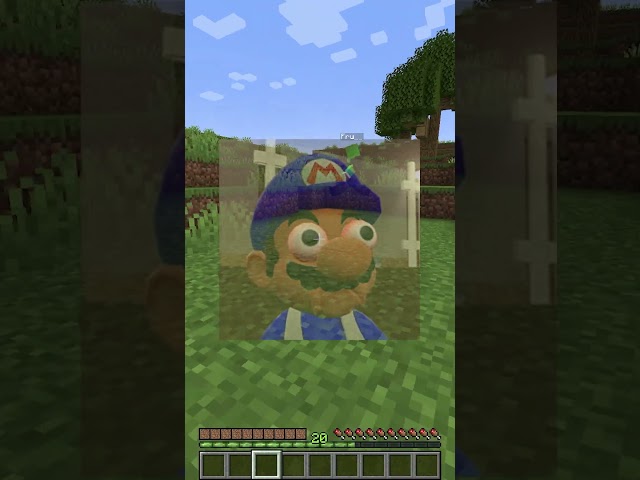 Hiding as a GRASS BLOCK!