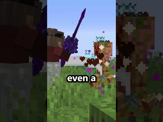 This Minecraft SMP Made a MISTAKE Adding this...