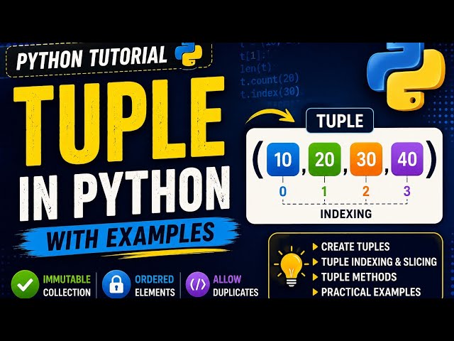 Tuple in Python 🐍 | Python Tutorial for Beginners