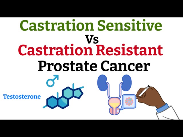Castration Sensitive vs Castration Resistant Prostate Cancer  - Quick and Simple