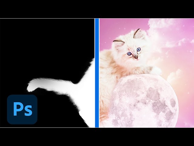 Create Layer Masks in Photoshop on the Web | Adobe Photoshop