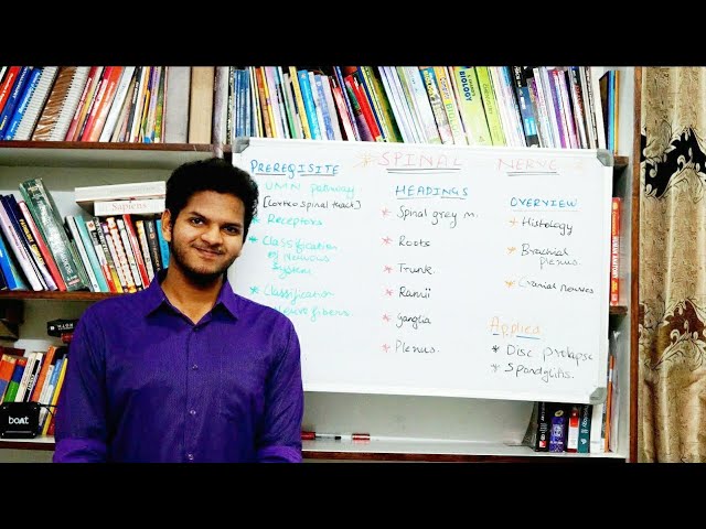 Anuj Pachhel - Spinal Nerve 1 [Prerequisite]