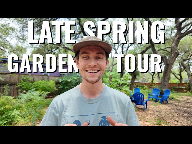 What’s Thriving in My Central Texas Native Plant Garden (Late Spring Tour)
