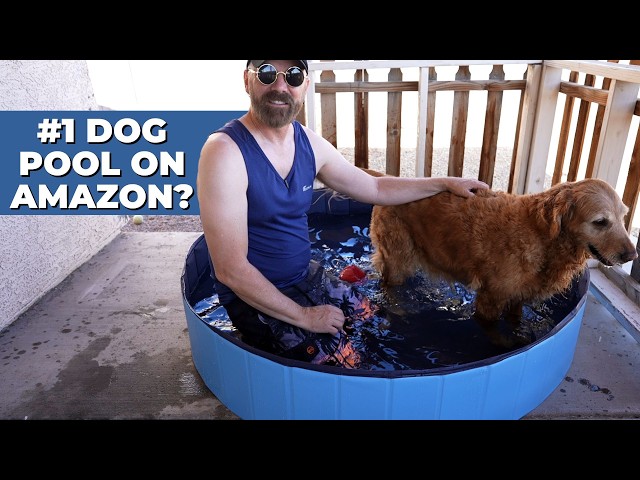 I Bought the #1 Dog Pool on Amazon, and Here's What Happened
