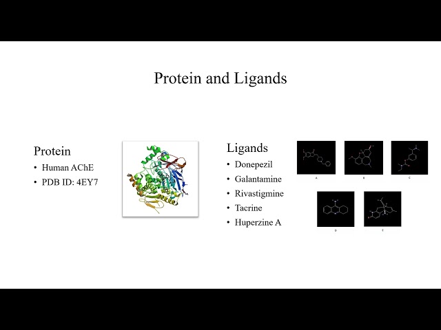 3-Month Bioinformatics Presentation by Sultan Sayyad | Biopractify Internship
