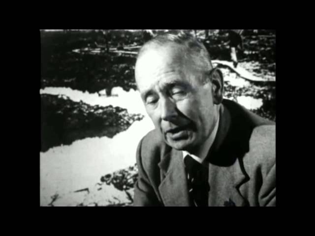 The Great War - Part 17 Surely we have perished - BBC Documentary