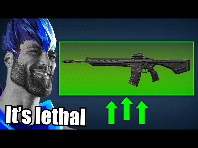 Warden is the New Best Rifle