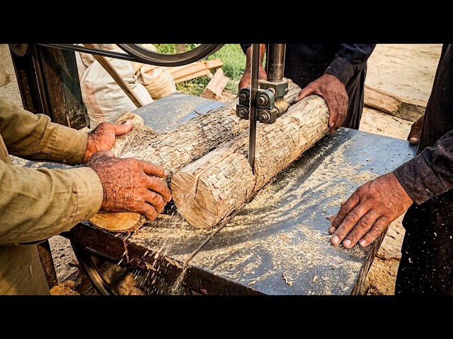 🔴LIVE Giant Log Cutting on Band Saw Mill | Wood Cutting Process