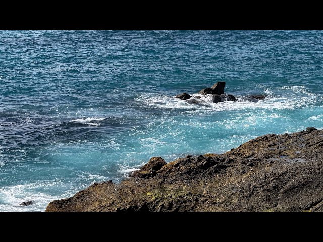 Laguna Beach || California  #summerdestination #lagunabeach 