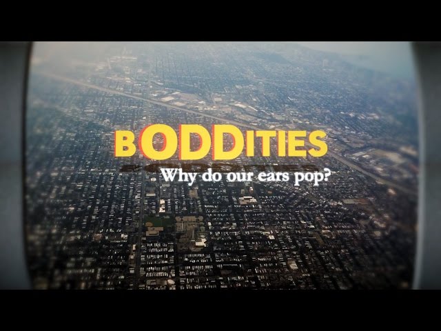 Boddities | Episode 4 | Why do our ears pop?