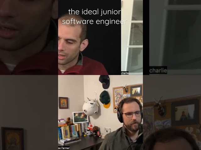 “So what is the ideal junior software engineer like?”